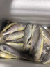 順豐5斤小黃花魚(yú)海魚(yú)深海小黃魚(yú)新鮮鮮活冷凍整箱煲湯煎炸香酥魚(yú) 5斤【小黃花魚(yú)14-17條/斤】 曬單實(shí)拍圖