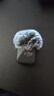 大疆 DJI Mic Mini 迷你無(wú)線(xiàn)高品音質(zhì)降噪領(lǐng)夾麥克風(fēng)【安卓+蘋(píng)果15/16/17系列+相機】相機版 一拖二 曬單實(shí)拍圖