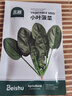 北蔬 小葉菠菜種子苗紅根地道菠菜冬春天四季菜種籽 小葉菠菜種子20g 曬單實(shí)拍圖