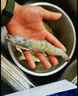 鮮京采 厄瓜多爾白蝦 凈重3斤/盒 特大號20-30規格   30-45只/盒 曬單實(shí)拍圖