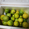 張小壯百香果 黃金果 廣西欽蜜9號黃金百香果9號新鮮生鮮白香果水果 精選2斤單斤約11-13個(gè) 曬單實(shí)拍圖