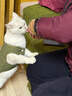 泰格寵物貓咪秋冬馬甲背心保暖加羊羔絨毛衣狗中小型犬外出牽引扣寵物衣服 綠色馬甲襖子 【自帶牽引扣】 XL碼【建議10斤內寵物】 曬單實(shí)拍圖