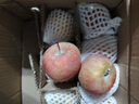 阿克蘇蘋(píng)果源頭直發(fā)新疆阿克蘇冰糖心蘋(píng)果新鮮當季應季時(shí)令丑蘋(píng)果水果紅富士 10斤【精品中果】單果70-80mm 凈重8.5斤 曬單實(shí)拍圖