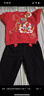 嘟嘟家寶寶拜年服套裝紅色喜慶男童兩件套過(guò)年衣服兒童童裝 朱櫻紅 110 曬單實(shí)拍圖