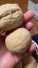 新疆紙皮核桃大顆薄皮薄殼核桃零食批發(fā)袋裝烤熟核桃 [核桃]原味 1000g 曬單實(shí)拍圖