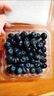 云南藍莓現摘露天藍莓果超甜孕婦水果當季新鮮水果 單果 12mm+ 2盒 200g 曬單實(shí)拍圖