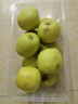 山東青蘋(píng)果新鮮水果當季現摘孕婦綠蘋(píng)果應季時(shí)令整箱脆甜酸甜 凈重3斤（60-65mm） 曬單實(shí)拍圖
