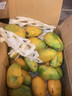 顧果鮮海南小臺芒9斤新鮮應季當季熱帶時(shí)令水果小臺農芒果整箱甜心芒 3斤凈重2.8斤 【大果】 曬單實(shí)拍圖