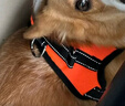 貝初眾狗繩牽引繩小中大型犬狗狗牽引繩柴犬遛狗繩狗狗背心式胸背帶狗鏈 【活力橙】防爆沖胸背帶+1.5m反光繩 M（建議約18-40斤寵物） 結實(shí)耐用 舒適不勒脖 曬單實(shí)拍圖