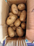 恩施小土豆新鮮馬鈴薯農家黃心洋芋現挖蔬菜馬鈴薯 5斤 大果 鵝蛋大小左右 曬單實(shí)拍圖