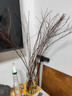 【開(kāi)花爆滿(mǎn)】雪柳鮮枝水培花卉泡水室內開(kāi)花綠植冬天干支水養植物 60cm-15支【滿(mǎn)滿(mǎn)一束】 精選雪柳鮮枝【送營(yíng)養液】 曬單實(shí)拍圖