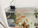 DEATKN德國魚(yú)缸過(guò)濾制氧迷你增氧泵內置三合一凈水循環(huán)水泵氧氣打氧機 16W 360度全面過(guò)濾(適合80CM以?xún)若~(yú)缸) 曬單實(shí)拍圖