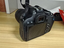 佳能/Canon EOS 600D 650D 700D 800D學(xué)生入門(mén)級二手單反相機高清旅游相機 佳能800D 18-135 IS一鏡頭走天下 套機 99新 曬單實(shí)拍圖