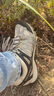邁樂(lè )（Merrell）邁樂(lè )戶(hù)外徒步鞋ACCENTOR GTX經(jīng)典低幫防水透氣防滑耐磨登山鞋 曬單實(shí)拍圖