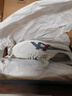 Onitsuka Tiger鬼塚虎男女板鞋復古時(shí)尚德訓鞋輕便運動(dòng)休閑鞋TOKUTEN 1183A907 米白色 36 曬單實(shí)拍圖