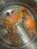 鮮活紅膏梭子蟹 200-300g/只 曬單實(shí)拍圖