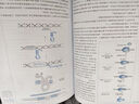 現代分子生物學(xué)（第6版） 曬單實(shí)拍圖