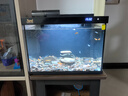 森森（SUNSUN）超白玻璃魚(yú)缸魚(yú)缸一體缸自循環(huán)桌面客廳免換水水族箱生態(tài)過(guò)濾 【自動(dòng)喂食】LE380B 純黑尊享版 曬單實(shí)拍圖