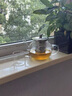 麥舒特加厚耐高溫玻璃茶壺泡茶家用不銹鋼過(guò)濾內膽沖茶器功夫茶壺大容量 【加厚款】鋼漏花茶壺 400ml 401mL(含)-500mL(含) 曬單實(shí)拍圖