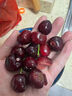 春公子進(jìn)口水果智利車(chē)厘子【JD多地次日達】櫻桃禮盒車(chē)厘子3J 5kg可選 4斤(凈重) 帶箱5斤【家庭裝】高端禮盒 【黑鉆級】4J 超級巨無(wú)霸 32-34mm 曬單實(shí)拍圖