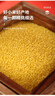 邢田耕品南和金米河北黃小米五谷雜糧小黃米5斤新米布袋邢臺特產(chǎn) 5斤南和金米布袋裝 曬單實(shí)拍圖