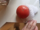 京地達西紅柿普羅旺斯西紅柿山東 凈重4.5斤 單果120g+蔬菜源頭直發(fā)包郵 曬單實(shí)拍圖