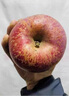 傾睦四川鹽源丑蘋(píng)果【涼山特產(chǎn)】高原冰糖心紅富士脆甜萍平果新鮮水果 凈重2.5-3斤中果【70-75mm】 曬單實(shí)拍圖