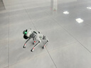 宇樹(shù)（Unitree）Go2 Air+遙控器版本 機器狗 AI大模型 四足機器人 仿生陪伴機器人 具身智能  電子寵物 高端禮物 曬單實(shí)拍圖