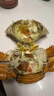 亞又婧【包活到家】福建東山島特大野生青蟹滿(mǎn)黃紅膏蟹螃蟹黃油蟹送禮盒 紅膏母蟹1斤裝（2只） 曬單實(shí)拍圖