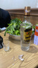 五糧頭曲尖莊高光42度500ml*12瓶光瓶裝濃香型白酒自飲特價(jià)口感濃香 42度 500mL 12瓶 曬單實(shí)拍圖