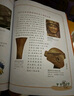 環(huán)球尋寶記（套裝共33冊)我的第一本歷史知識漫畫(huà)書(shū)兒童科普百科漫畫(huà)書(shū)正版6-14歲少年兒童科普大百科自主閱讀 暑假作業(yè) 一升二暑假銜接 小升初暑假銜接 曬單實(shí)拍圖