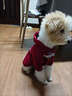 TMJD MISS寵物狗狗衣服小型犬雪納瑞泰迪博美秋冬連帽可愛(ài)加絨加厚衣服冬季 酒紅色【加絨加厚】 XL【建議體重8-13斤】 曬單實(shí)拍圖