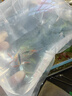 觀(guān)賞蝦活體除藻淡水蝦魚(yú)缸造景黑殼五彩米蝦好養小型蝦 10種蝦隨機發(fā)15只送5只備損 曬單實(shí)拍圖