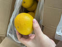 南步浙江慶元甜桔柚 麗水特產(chǎn)甜橘柚黃金貢柚非建陽(yáng)新鮮水果年貨送禮 10斤 精選大果【單果80mm+】禮盒 曬單實(shí)拍圖