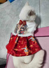 JCZS新年寵物衣服保暖布偶貓狗冬裝貓咪圣誕衣服加厚德文毛小貓寵物狗 新年毛衣-氣球小熊 【升級材質(zhì)鹿毛絨 保暖不易起球 M-胸圍39CM【建議6-9斤】 曬單實(shí)拍圖