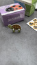 星星舟3d立體拼圖3-6歲兒童玩具益智手工diy趣味昆蟲(chóng)恐龍動(dòng)物拼裝模型 【全套4款】共100張 曬單實(shí)拍圖