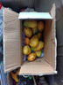 海南小臺農芒果 時(shí)令新鮮水果當季整箱應季熱帶特產(chǎn) 小臺農芒果凈重3斤單果70g+ 曬單實(shí)拍圖