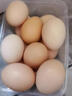 南步農家散養土雞蛋【現撿速發(fā)】新鮮雞蛋笨雞蛋草雞蛋正宗柴雞蛋初生 10枚裝 【單枚40-45g】約400g 曬單實(shí)拍圖