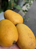 橙尚宮海南小臺農芒果新鮮小臺芒當季特產(chǎn)熱帶水果現摘雞蛋芒果整箱 凈重5斤【單果60-100g】實(shí)惠中果 曬單實(shí)拍圖