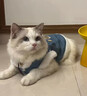 阿莫爾狗狗衣服加絨保暖牛仔小熊馬甲秋冬防掉毛小型犬貓咪衣服可牽引衣 藍色牛仔小熊【可牽引】 S 曬單實(shí)拍圖