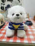 MOONCHILD可愛(ài)狗狗博美犬公仔毛絨玩具仿真茶杯犬小送閨蜜送給女生生日禮物 穿衣博美 坐高23厘米 曬單實(shí)拍圖