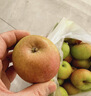 京地達遼寧國光蘋(píng)果 果光蘋(píng)果酸甜小蘋(píng)果 凈重5斤16個(gè)左右源頭直發(fā)包郵 曬單實(shí)拍圖