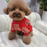 嬉皮狗（hipidog）寵物衣服秋冬福祿滿(mǎn)滿(mǎn)新年兩腳毛衣狗狗貓咪比熊過(guò)年喜慶保暖服飾 福祿滿(mǎn)滿(mǎn) M（建議體重6-10斤） 曬單實(shí)拍圖