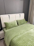 拉夏貝爾（La Chapelle）兔毛牛奶絨床裙四件套雙面絨冬季加厚床單被套防滑床罩式床上用品 泡泡-時(shí)尚綠【雙面加厚加絨/鎖溫保暖】 床裙款 1.8m裙擺式四件套 曬單實(shí)拍圖