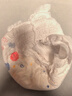 好奇（Huggies）金裝拉拉褲XXL74(15kg以上)尿不濕【速干不易紅】 曬單實(shí)拍圖