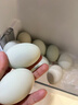 咸鴨蛋正宗高郵咸鴨蛋古法腌制流油起沙新鮮裸咸鴨蛋非真空包裝 60-70g[裸蛋非真包裝] 10枚 曬單實(shí)拍圖