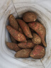 言覺(jué)板栗蜜薯10斤紅薯西瓜紅 沙地蜜薯小香薯新鮮現挖山東地瓜山芋 紅薯  精選5斤裝 曬單實(shí)拍圖