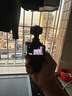 大疆（DJI）Osmo Pocket3 靈眸口袋云臺相機 DJI手持數碼相機 旅游vlog美顏攝像 高清增穩 標準版+128G內存卡 官方標配 曬單實(shí)拍圖