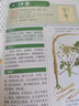 彩色圖解神農本草經(jīng)黃帝內經(jīng) 白話(huà)文注解中醫學(xué)經(jīng)典著(zhù)作值全彩珍藏版 彩色圖解神農百草經(jīng)中醫藥學(xué)傳世經(jīng)典書(shū) 中醫經(jīng)典臨床讀本 神農本草經(jīng) 曬單實(shí)拍圖