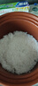 新創(chuàng  )埼【京東物流】真紫砂鍋電飯煲0涂層家用1-5人智能多功能柴火飯電飯鍋燉湯砂鍋蒸米飯鍋預約定時(shí)3L 白色 3L （紫砂內膽+紫砂雙蓋）純凈 曬單實(shí)拍圖